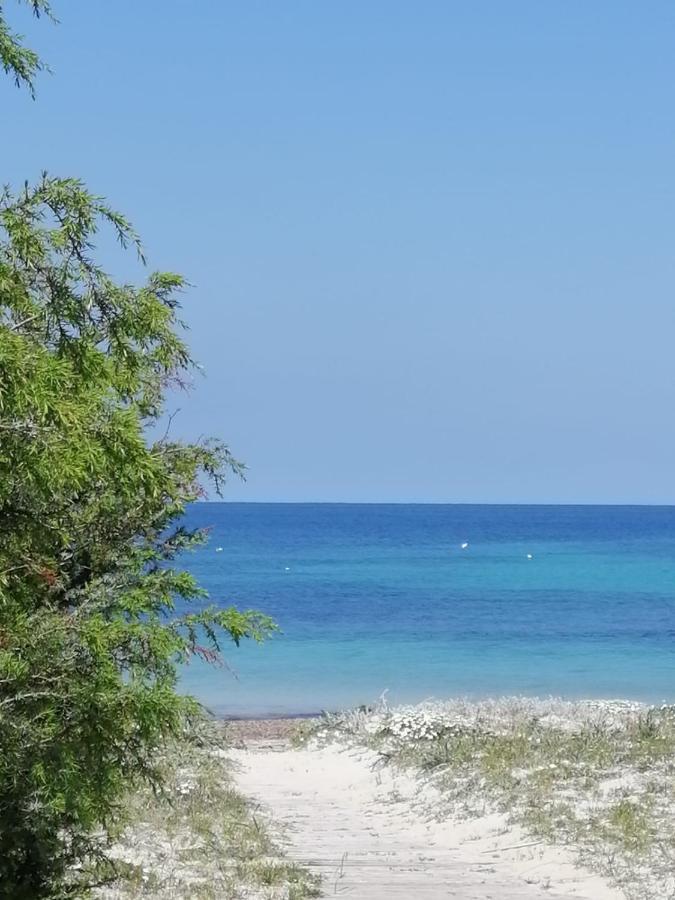 Path leading to a Sardinian beach